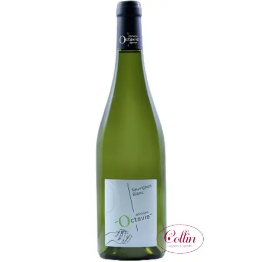Sauvignon Touraine 75cl 2024 Octavie 